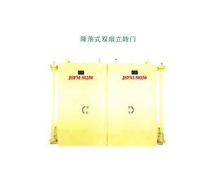 江西降落式双扇立转门